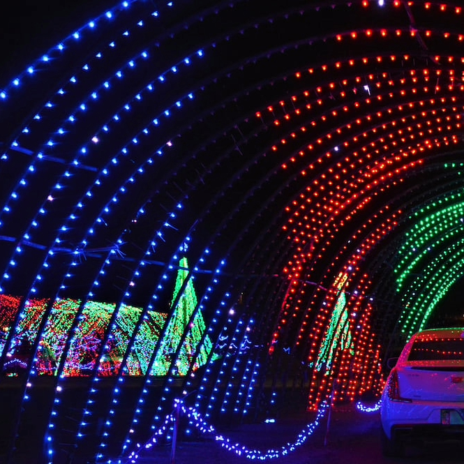 Dec 10th LIGHTS, SHOPPING & ACRES OF POINSETTIAS! Customer Appreciation Holiday Tour - Image 4