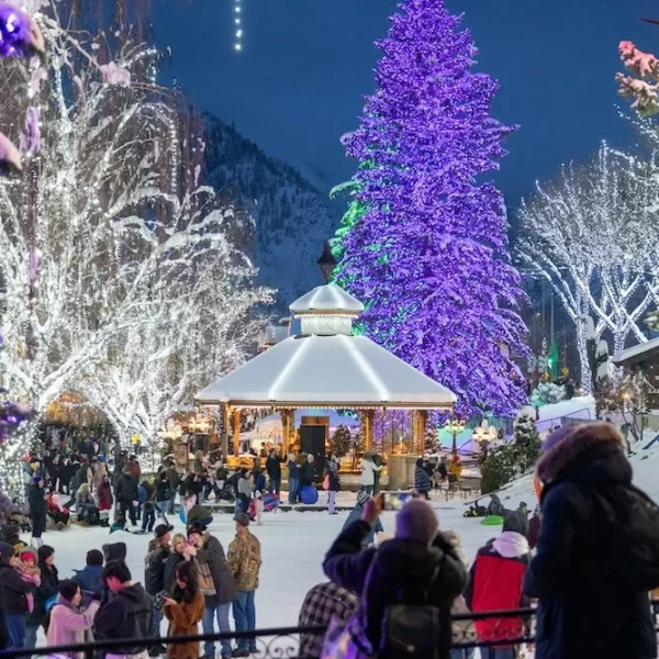 Holiday Overnight: Leavenworth Lights & Variety Show