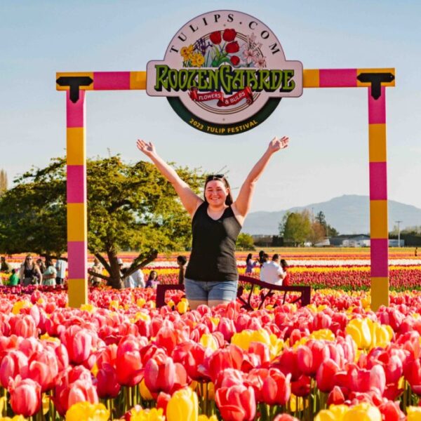 Springtime Splendor: Skagit Valley Tulip Express to Roozengaarde