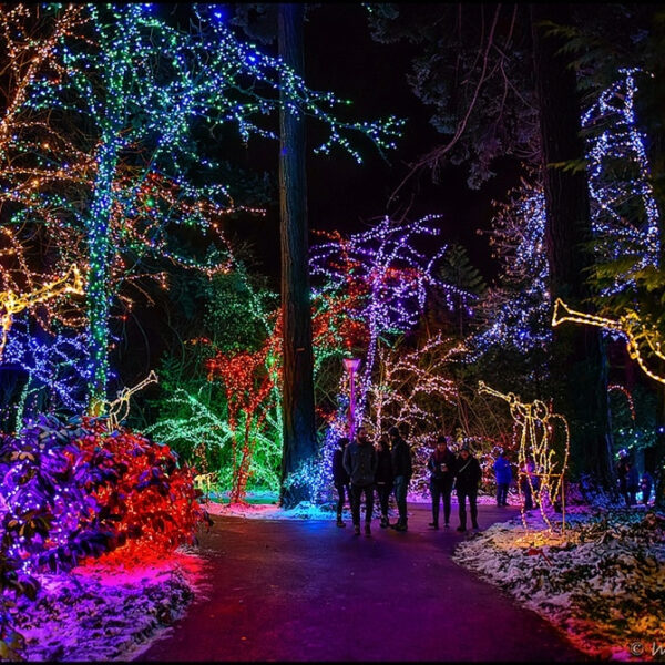 Dec 3rd GROTTO FESTIVAL OF MUSIC & LIGHTS with Dinner at Heidis