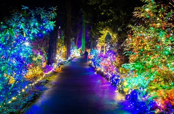 Dec 3rd   Grotto Holiday Festival & Dinner Heidis of Gresham