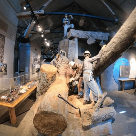 Nov 11th MOUNT ST. HELENS Visitor Center – Newly Renovated! - Image 4