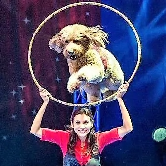 Nov 2nd HIGH FLYING STUNT DOGS As Seen on TV, Now Live On Stage - Image 3