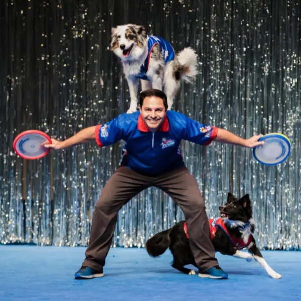 Nov 2nd HIGH FLYING STUNT DOGS As Seen on TV, Now Live On Stage