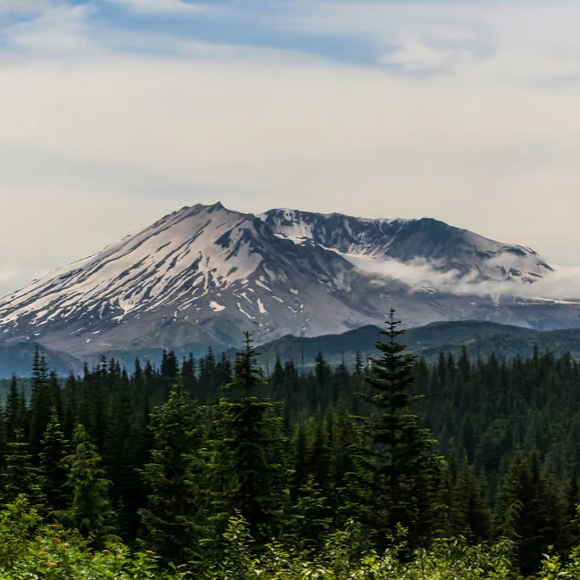 Nov 11th MOUNT ST. HELENS Visitor Center – Newly Renovated! - Image 2