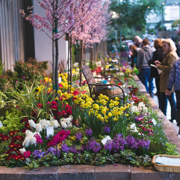 NW FLOWER & GARDEN SHOW – SPRING PARADE OF BLOOMS
