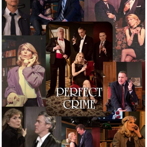"Perfect Crime"... A Cunning & Romantic Whodunit!