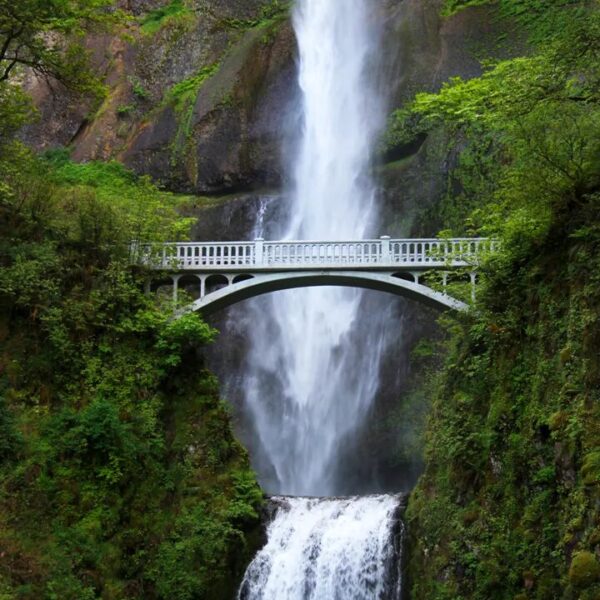 Easter Buffet at Multnomah Falls & Grotto National Sanctuary